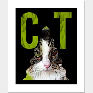 CAT - 21 Posters and Art